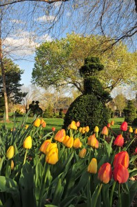 Columbus OH Topiary Garden