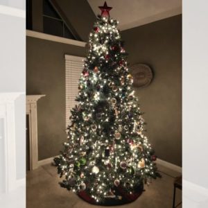 Christmas tree in living room.